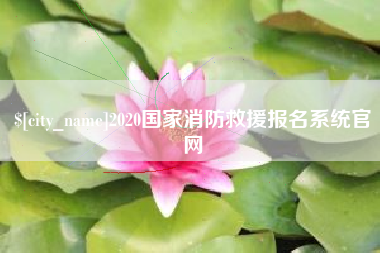 曲靖2020国家消防救援报名系统官网