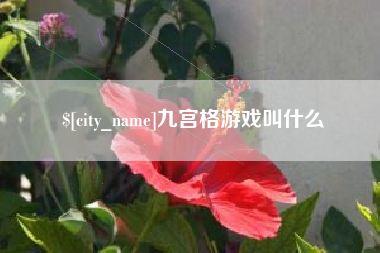 曲靖九宫格游戏叫什么