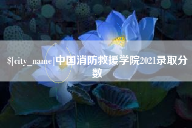 曲靖中国消防救援学院2021录取分数