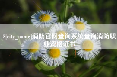 曲靖消防官网查询系统查询消防职业资格证书