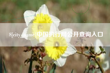 曲靖中国执行网公开查询入口