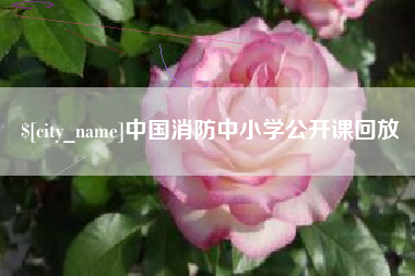 曲靖中国消防中小学公开课回放