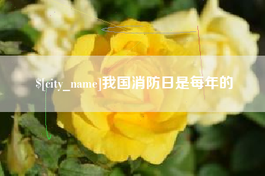 曲靖我国消防日是每年的