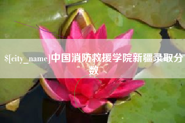 曲靖中国消防救援学院新疆录取分数