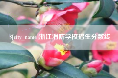 曲靖浙江消防学校招生分数线