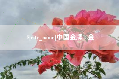 曲靖中国金牌18金