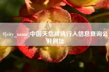 曲靖中国失信被执行人信息查询公开网址