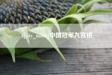 曲靖中国冠军九宫格