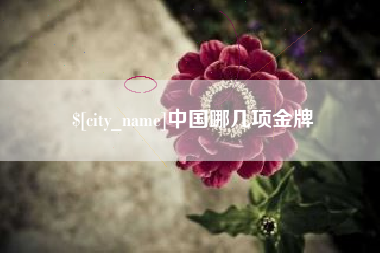 曲靖中国哪几项金牌