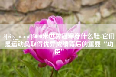 曲靖5000米世界冠军穿什么鞋-它们是运动员取得优异成绩背后的重要“功臣”