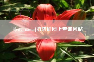 曲靖消防证网上查询网站