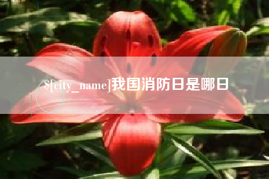 曲靖我国消防日是哪日