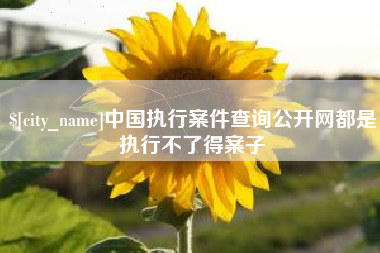 曲靖中国执行案件查询公开网都是执行不了得案子