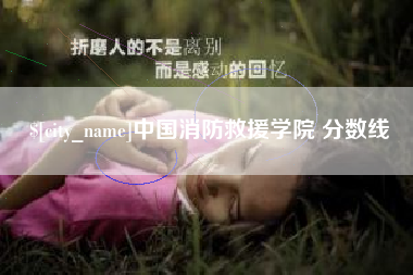 曲靖中国消防救援学院 分数线