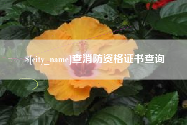 曲靖查消防资格证书查询