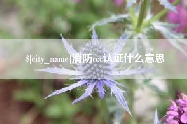 曲靖消防ccc认证什么意思