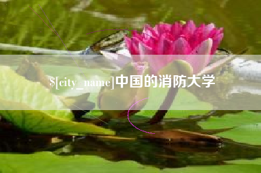 曲靖中国的消防大学