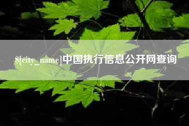 曲靖中国执行信息公开网查询