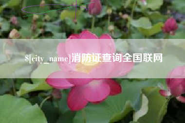 曲靖消防证查询全国联网