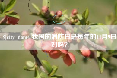曲靖我国的消防日是每年的11月9日对吗？