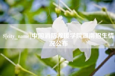 曲靖中国消防救援学院湖南招生情况公布