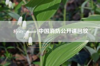 曲靖中国消防公开课回放