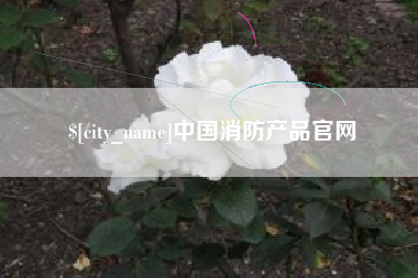 曲靖中国消防产品官网