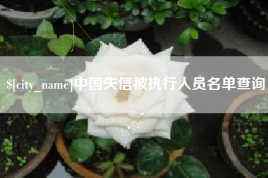 曲靖中国失信被执行人员名单查询
