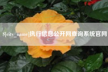 曲靖执行信息公开网查询系统官网