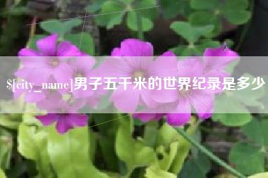 曲靖男子五千米的世界纪录是多少