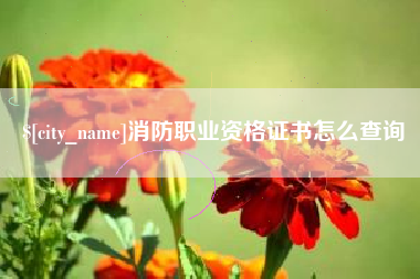 曲靖消防职业资格证书怎么查询