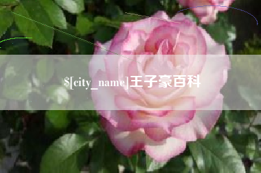 曲靖王子豪百科