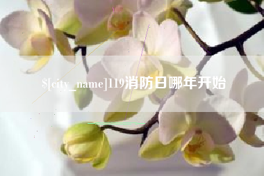 曲靖119消防日哪年开始