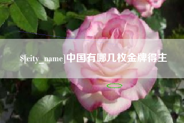 曲靖中国有哪几枚金牌得主