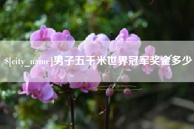 曲靖男子五千米世界冠军奖金多少