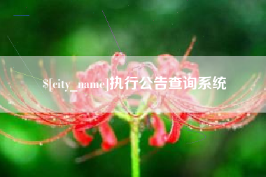 曲靖执行公告查询系统