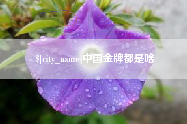 曲靖中国金牌都是啥