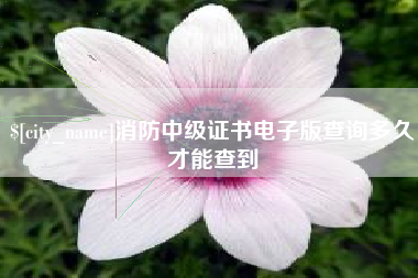 曲靖消防中级证书电子版查询多久才能查到