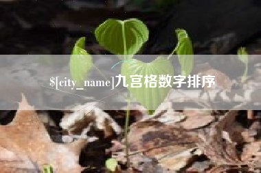 曲靖九宫格数字排序