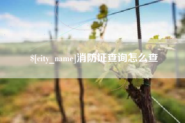 曲靖消防证查询怎么查
