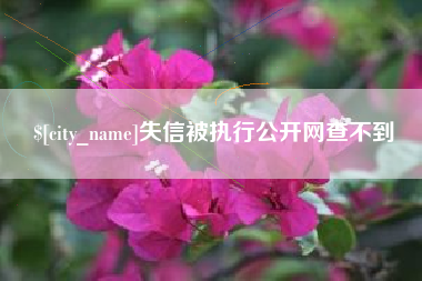 曲靖失信被执行公开网查不到