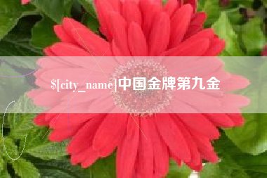 曲靖中国金牌第九金