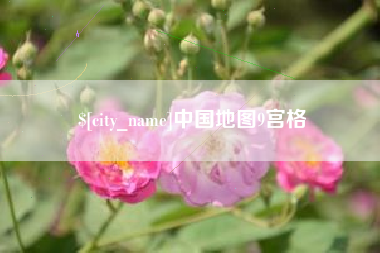 曲靖中国地图9宫格