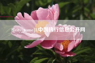 曲靖1.中国执行信息公开网