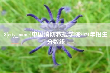 曲靖中国消防救援学院2024年招生分数线