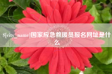 曲靖国家应急救援员报名网址是什么