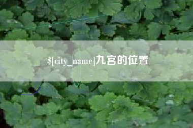 曲靖九宫的位置