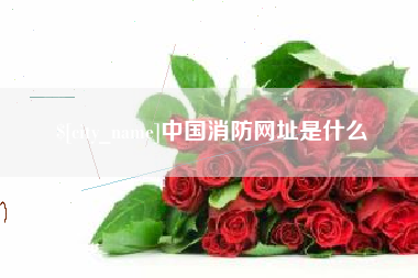 曲靖中国消防网址是什么