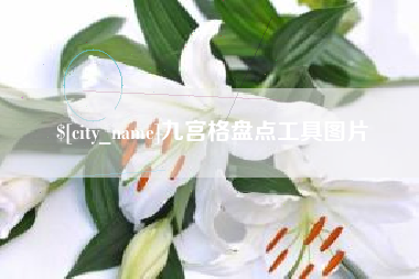 曲靖九宫格盘点工具图片