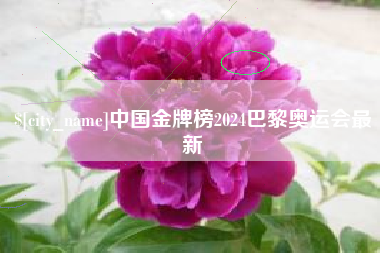 曲靖中国金牌榜2024巴黎奥运会最新